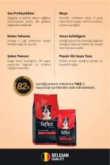 Plus Hipoalerjenik Kuzu Etli Orta Ve Büyük Irk Yetişkin Köpek Maması 12 kg
