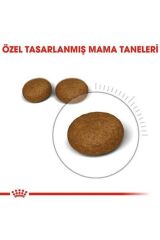 Hair & Skin Deri ve Tüy Sağlığı İçin Kedi Maması 4 Kg