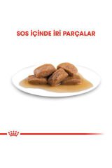 Maxi Adult Gravy Yetişkin Köpek Konservesi 10 Adet 140 Gr