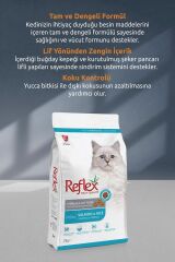 Somonlu ve Pirinçli Kısırlaştırılmış Kedi Maması 10 Kg