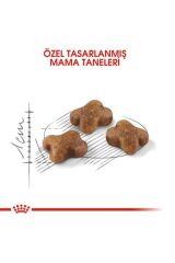 Kitten Yavru Kedi Maması - 10 Kg