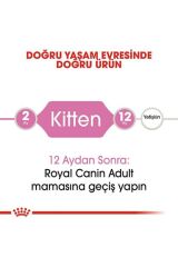Kitten Yavru Kedi Maması - 10 Kg