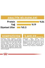 British Shorthair Adult Kedi Kuru Maması 2 Kg