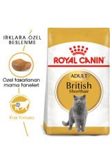 British Shorthair Adult Kedi Kuru Maması 2 Kg