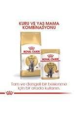 British Shorthair Adult Kedi Kuru Maması 2 Kg
