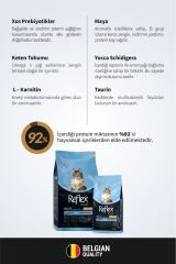 Plus Hipoalerjenik Kısırlaştırılmış/Sterilized Somonlu Yetişkin Kedi Maması 1,5 kg + 500 gr