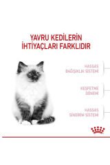 Kitten Yavru Kedi Maması -2 Kg