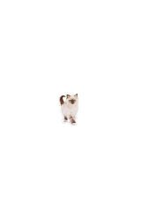 Kitten Yavru Kedi Maması 2 Kg Orijinal Paket Orijinal Lezzet