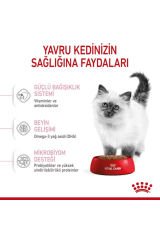 Kitten Yavru Kedi Maması 2 Kg Orijinal Paket Orijinal Lezzet