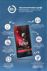 Light&kısırlaştırılmış Kuzu Etli Orta Ve Büyük Irk Köpek Maması 15 Kg#