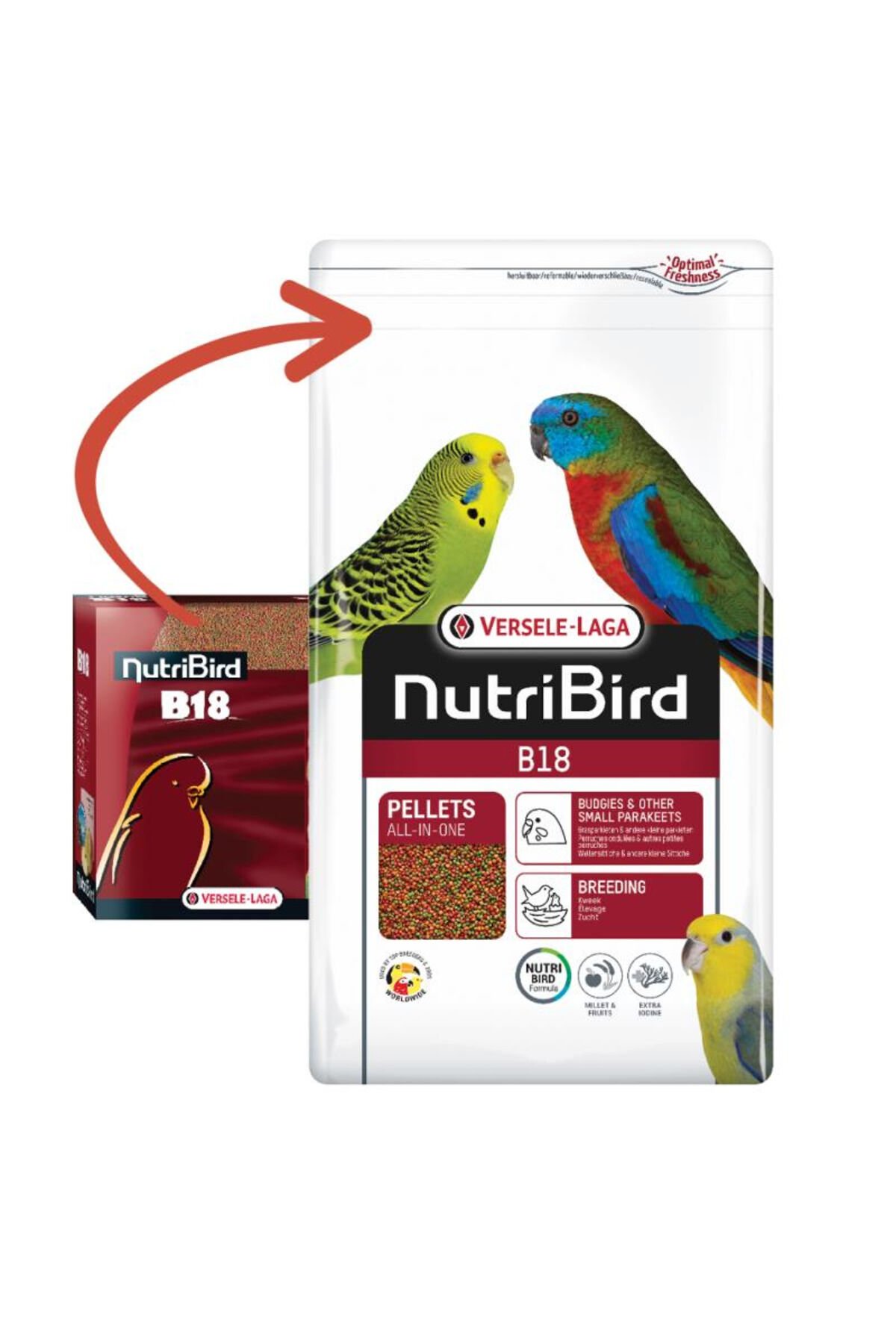 NRTMSA Nutrıbırd B18 Muhabbet Pelet Yem (114721) 3 Kg