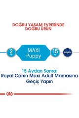 Maxi Puppy Büyük Irk Yavru Köpek Maması 15 Kg