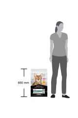 Tavuklu Yetişkin Kedi Maması 10 kg