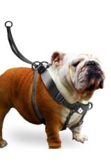 Easy Walker Göğüs Tasma 52*84 Cm Xlarge