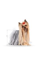 Yorkshire Terrier Yaş Köpek Maması 12 X 85g