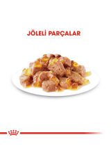 Sterilised Jelly Kısırlaştırılmış Yetişkin Kedi Yaş Maması 12 x 85 Gr