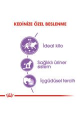 Sterilised Jelly Kısırlaştırılmış Yetişkin Kedi Yaş Maması 12 x 85 Gr