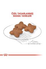 Mini Adult Köpek Maması 4 Kg
