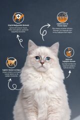 Kısırlaştırılmış / Sterilised Somonlu ve Pirinçli Kedi Maması 2 kg x 2