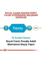 Poodle Junior Yavru Köpek Maması 3 Kg