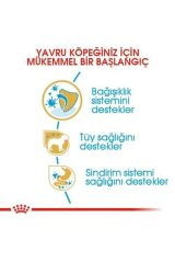 Poodle Junior Yavru Köpek Maması 3 Kg