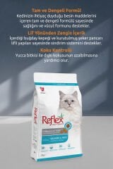 Kısırlaştırılmış / Sterilised Somonlu ve Pirinçli Kedi Maması 2 kg