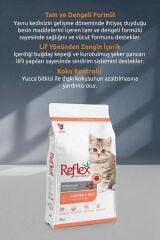 Kitten Tavuklu Ve Pirinçli Yavru Kedi Maması 2 Kg