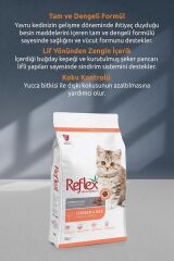 Kitten Tavuklu Pirinçli Yavru Kedi Maması 2 Kg X 3 Paket