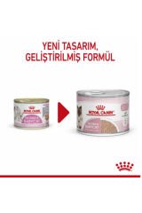Mother Babycat Kedi Konservesi 195 gr 12 Adet