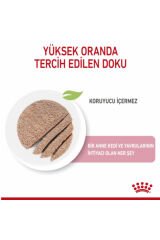 Mother Babycat Kedi Konservesi 195 gr 12 Adet