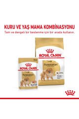 Pomeranian Kuru Köpek Maması 3kg