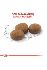 Sterilised 37 Kısırlaştırılmış Yetişkin Kedi Maması 15 Kg