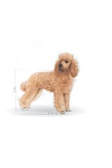 Poodle Yaş Köpek Maması 12 x 85g