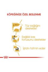 Poodle Yaş Köpek Maması 12 x 85g