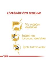 Poodle Yetişkin Köpek Konservesi 85 gr