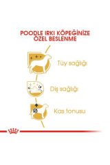 Poodle Yetişkin Kuru Köpek Maması 3kg