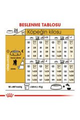 Poodle Yetişkin Kuru Köpek Maması 3kg