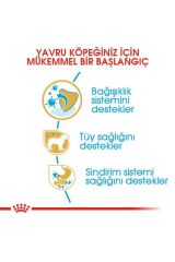 Poodle Yavru Köpek Maması 3kg