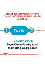 Poodle Yavru Köpek Maması 3kg