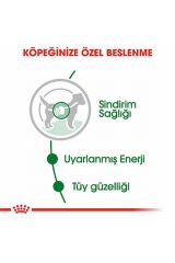 Mini Adult Pouch Yetişkin Köpek Konservesi 12 Adet 85 Gr