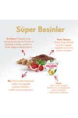 Somonlu Kısırlaştırılmış Kedi Maması 12 Kg 28042001, one size