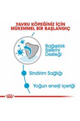 Mini Puppy Pouch Yavru Köpek Konservesi 12 Adet 85 Gr