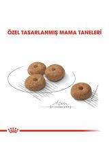 Mini Sterilised Yetişkin Kısırlaştırılmış Köpek Maması 3 Kg