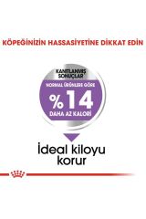 Mini Sterilised Yetişkin Kısırlaştırılmış Köpek Maması 3 Kg