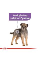 Mini Sterilised Yetişkin Kısırlaştırılmış Köpek Maması 3 Kg