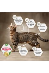 Somonlu Kısırlaştırılmış Kedi Maması 12 Kg