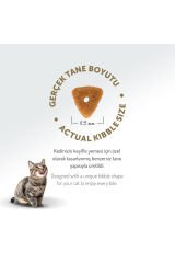 Somonlu Kısırlaştırılmış Kedi Maması 12 Kg
