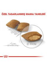 Mini Exigent Seçici Köpekler Için Kuru Köpek Maması 3kg