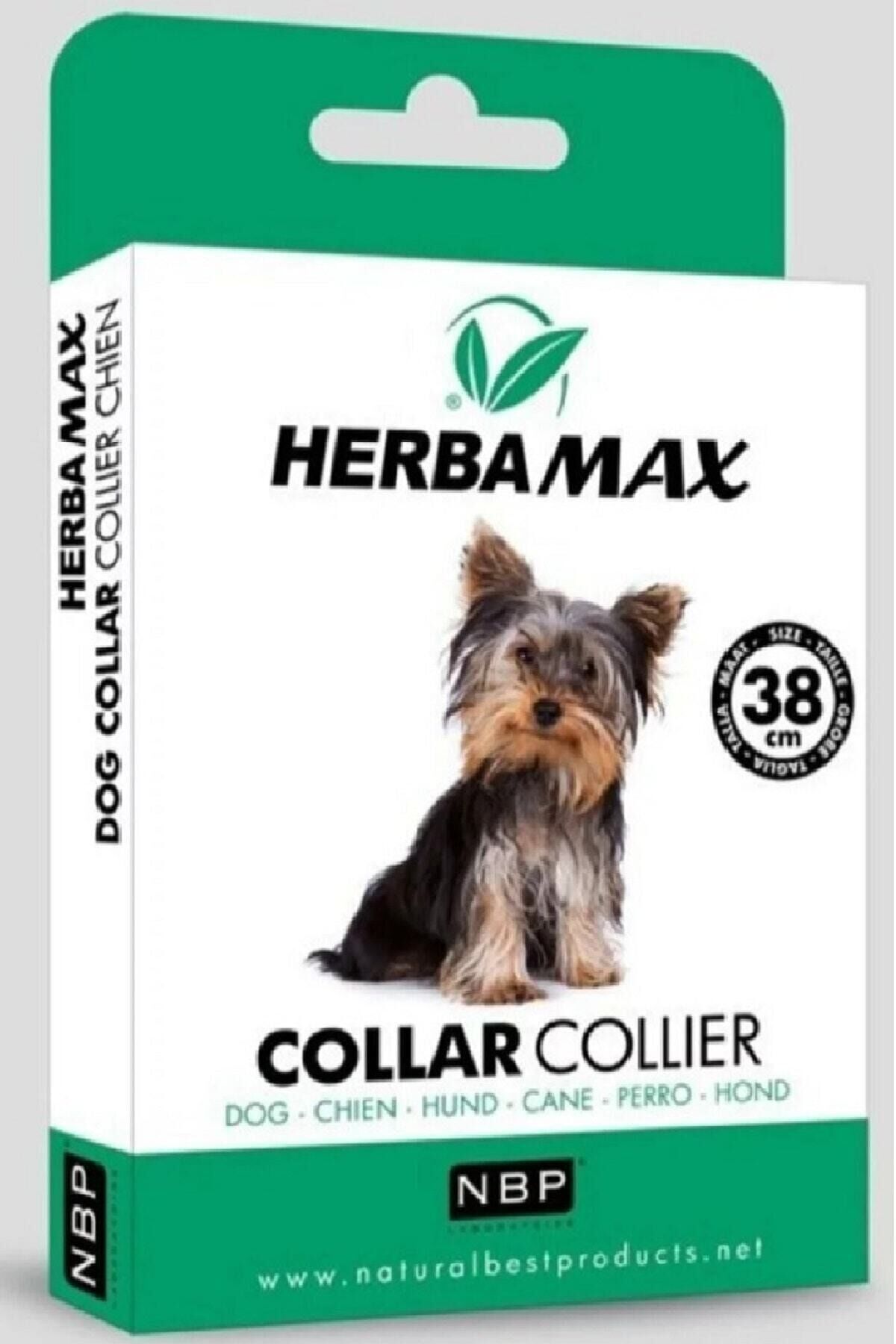 Köpekler Için Doğal Pire Tasması 38 Cm