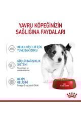 Küçük Irklar için Yavru Yaş Köpek Maması 12 x 85g